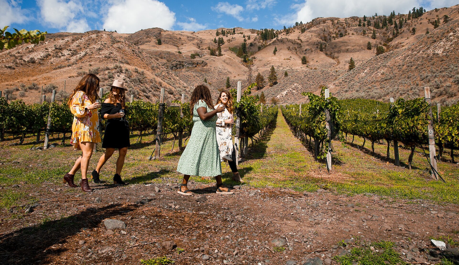 https://www.discovercanadatours.com/wp-content/uploads/2025/11/sagewoodvineyard©TourismKamloops.jpg