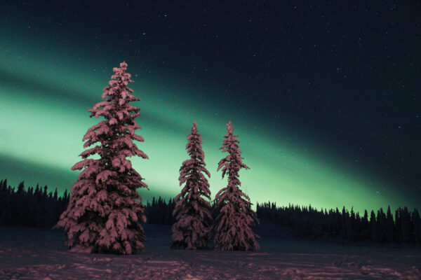 https://www.discovercanadatours.com/wp-content/uploads/2026/01/©DCT-YukonNorthernLights-600x400.jpg