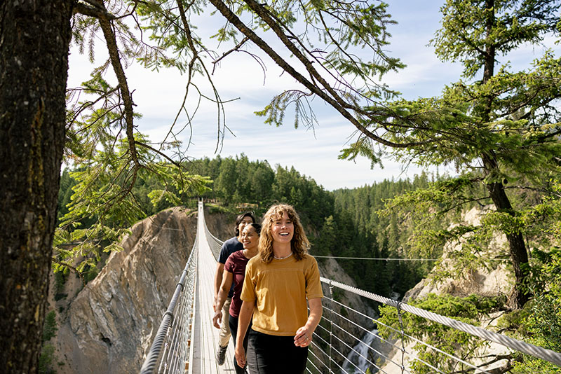 https://www.discovercanadatours.com/wp-content/uploads/2026/02/©DestinationBC-AbbyCooper-GoldenSkybridge-DRTR-800x534-1.jpg
