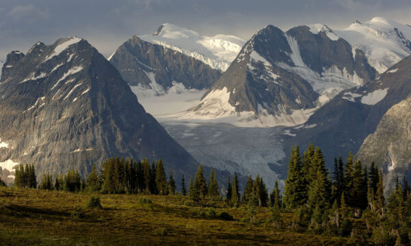 https://www.discovercanadatours.com/wp-content/uploads/2026/02/©DestinationBC-DavidGluns-DRTR-Header-GlacierPark-2000x1200-1-600x360.jpg